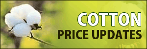 Cotton Price Updates