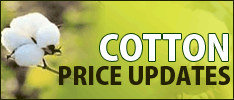 Cotton Price Updates