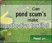 Can pond scums make protective textiles
