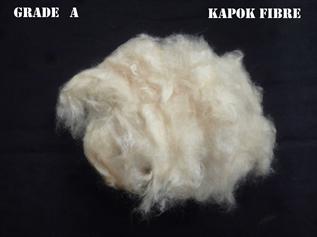 Kapok Fibre - Kapok Fibre Manufacturers, Kapok Fibre Suppliers & Exporters