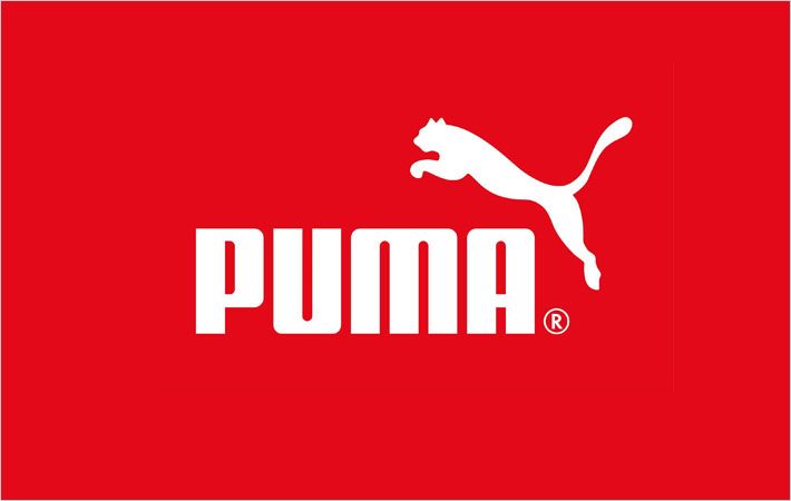 puma sports pvt ltd