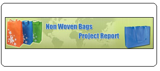 non woven fabric bags project report