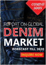 Report on Indian Apparel market : Current and Future scenario