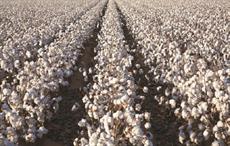 Pic: National Cotton Council