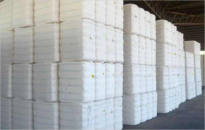 Brazilian cotton prices 