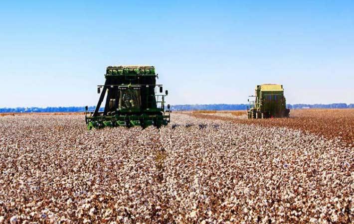 United States Of America : Cotton USA launches new global website ...